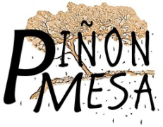 Pinon Mesa Network
